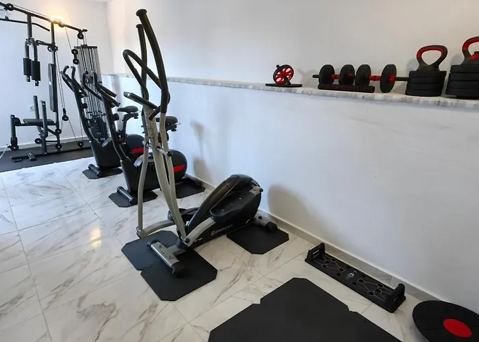 Topaz Four 希维利